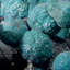 Chrysocolla - Planète Mine, Arizona