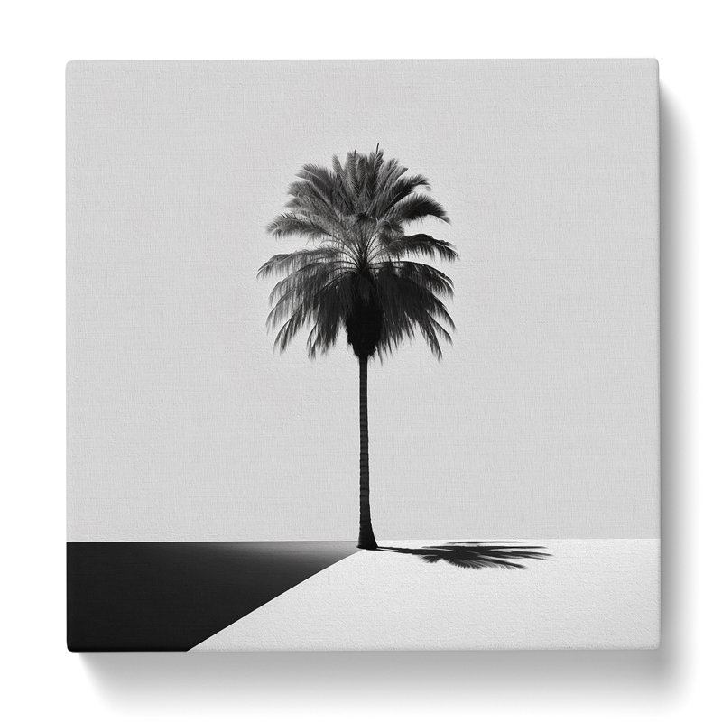 Palm Tree Minimalism - No Frame Print