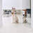 Medium Clear View Pet Crate with Gold Latch-1029168813