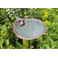 Scallop Shell Birdbath and Feeder with Stake