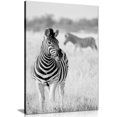 Black And White Zebra In Wildlife Artistic - Wrapped Canvas Print