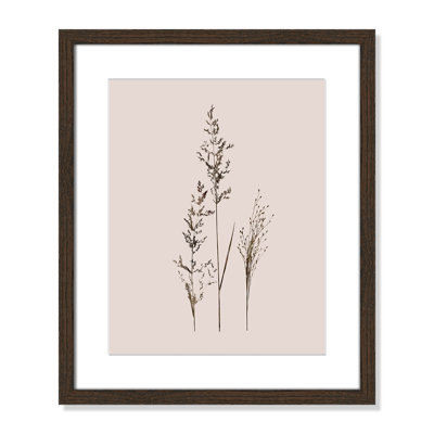 Delicate Stems I by Carol Robinson - Single Picture Frame Print -  Birch Lane™, A8E3CEC85EB648C99C608A92601D43C3