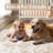 Elegant Modern Machine Woven Area Rug in Beige-111669830