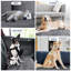 Pet Blanket-109513391