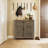 Malyha Farmhouse Louvered 2 Door Shoe Cabinet-7079418