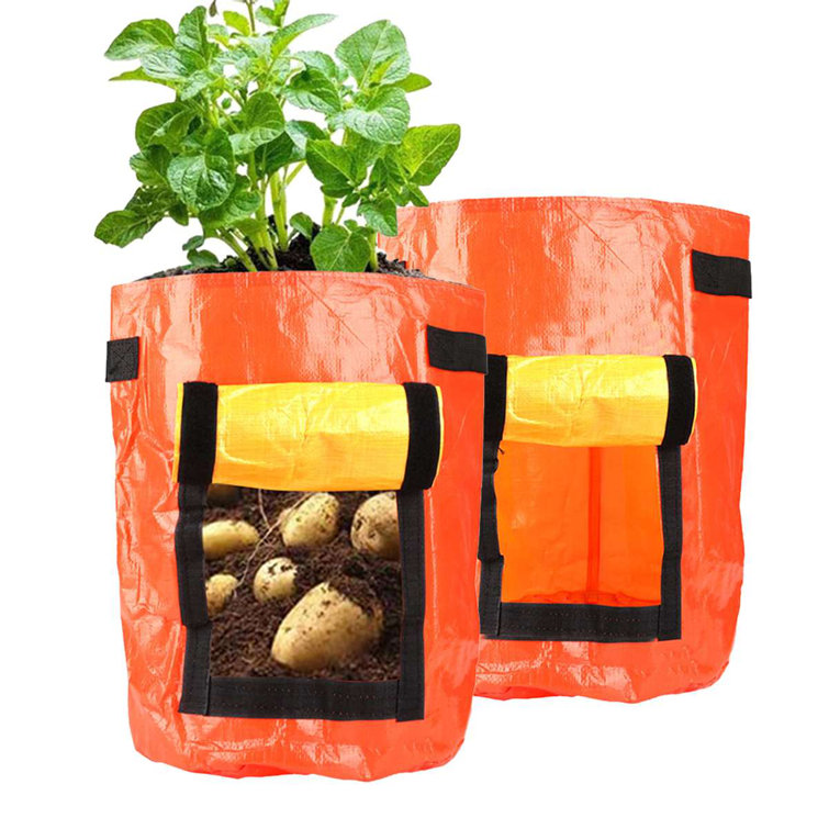 Aptoco Gallon Grow Bag Non-woven Plant Planting Bag, Flower Seedling  Breeding Nutritional Grow Bag & Reviews
