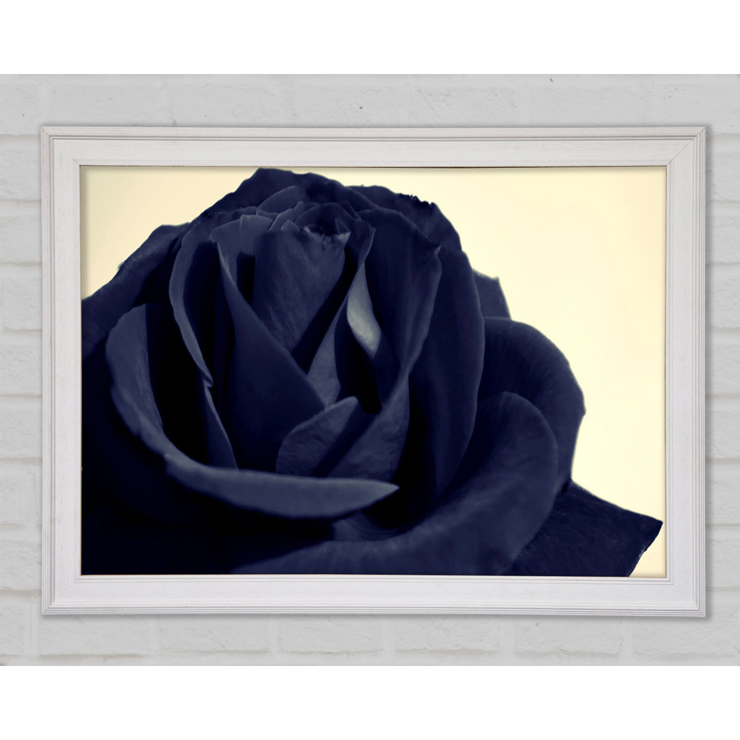 Schwarz Blaue Rose Gerahmter Druck