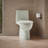 Reach 1.28 GPF Water Efficient Elongated Toilet-107149310