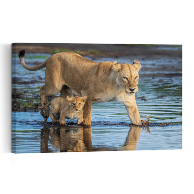 The River Crossing Contemporary Lion Nature Wildlife Wall Art Print by Jeffrey C. Sink - 1 Piece Wrapped Canvas Wall Art