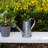 5-Inch Galvanized Metal Decorative Vase, Mini Vintage Watering Can for Dried Flowers