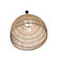 Luminaire suspendu en forme de dôme à 1 lumière avec accents métalliques Aletse-1824100275