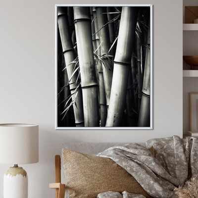 " Black and White Bamboo Photo III " Print