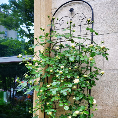 86.7'' X 19.7'' Metal Garden Trellis 4 - Rustproof Black Trellis, Easy Assembly, Iron, For Climbing Plants: Ivy, Rose, Morning Glory, , Peas 4 Pack 19