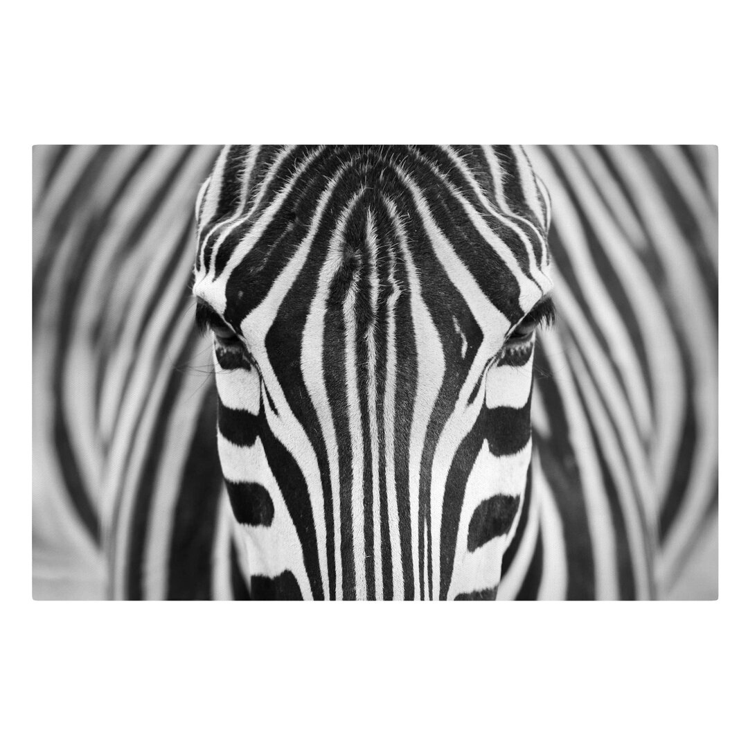 Leinwandbild Zebra-Optik