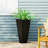 Planters-1489290320