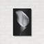 "Lily On Black 02" par Tom Quartermaine-677480994