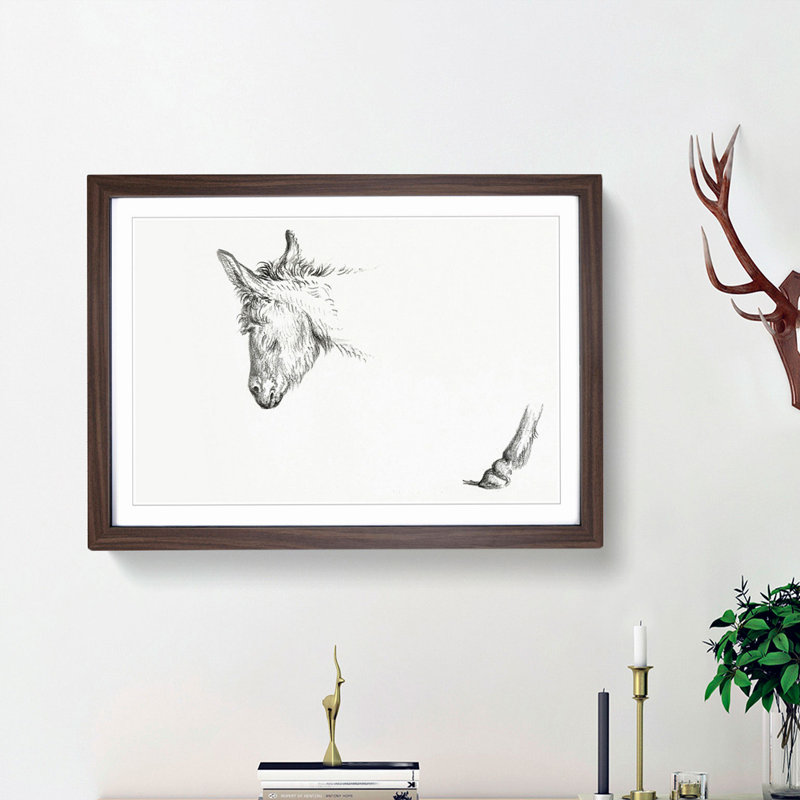 Sketch of a Donkey by Jean Bernard - Picture Frame Drawing Print, Walnut Framed, 36cm H x 48cm W x 2cm D