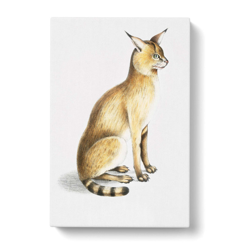 Allied Cat - Wrapped Canvas Painting, 76cm H x 50cm W x 3cm D