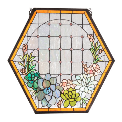 20" Wide X 20" High Succulent Window