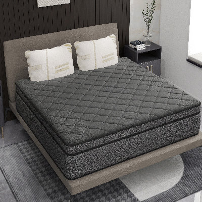 12/14 Inch Mattress High Density Hybrid Foam Layer Pocketed Springs by Alwyn Home