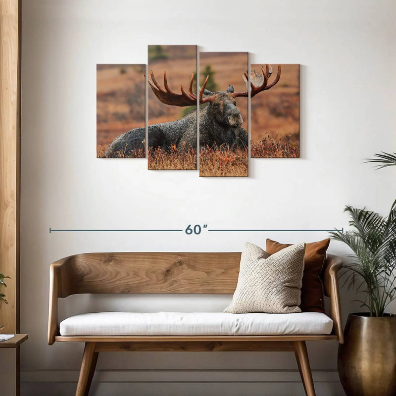 Brampt Summer Moose, 27" H x 43" W