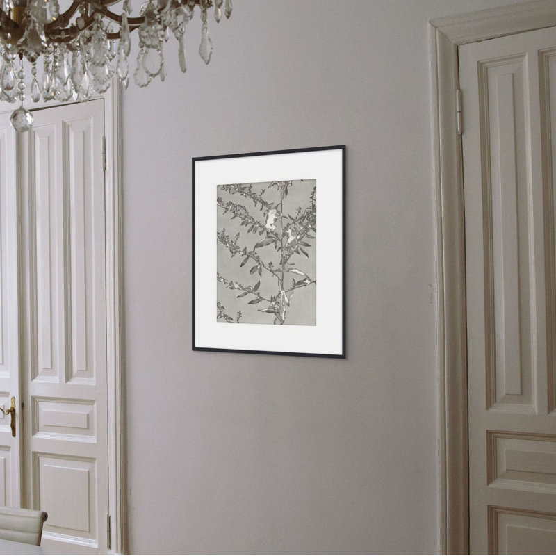 Lucent Botanicals 4 Print by Darrell Kincer, 28.5" H x 25.5" W