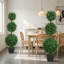 100 Plant