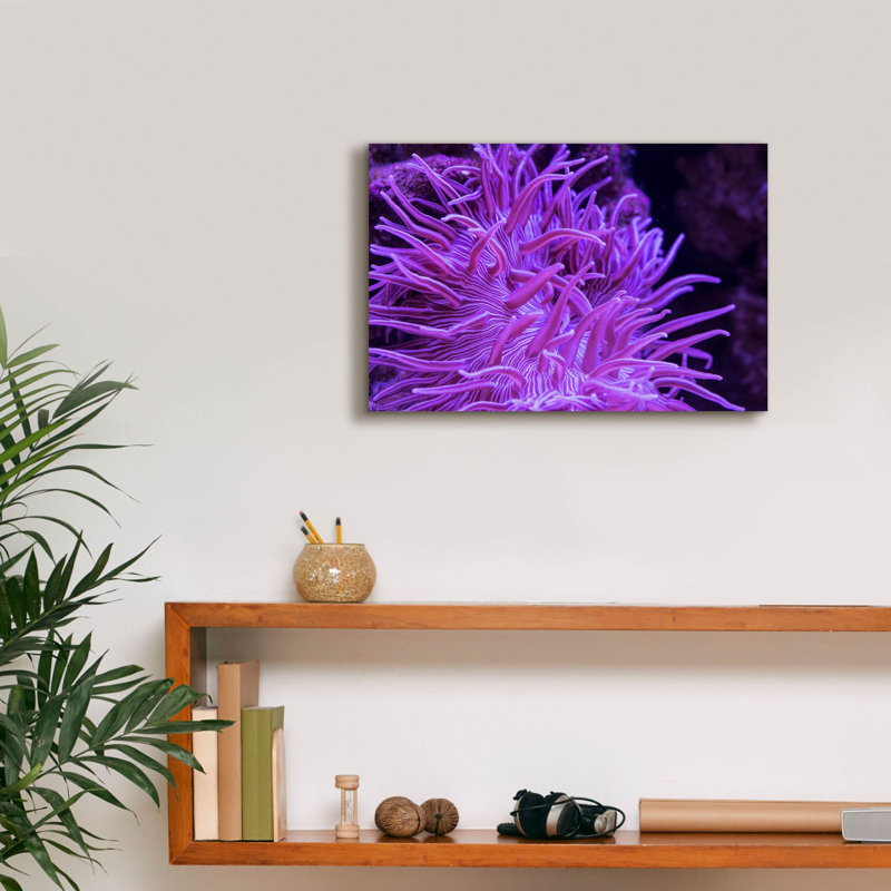 «Striped Long Tentacle Anemone» par Epic Portfolio, art mural sur toile, H 12 po x l 18 po x P 0,75 po