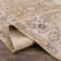 Briawood Oriental Indoor Rug
