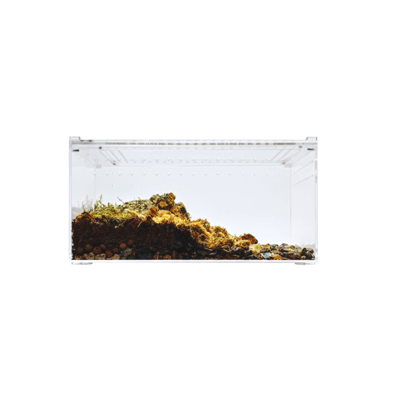Acrylic Reptile Terrarium, 3 Gallon - 6"H x 8"W x 12"D