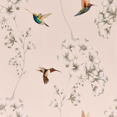 Amazilia 10.05m x 68.6cm Wallpaper Roll
