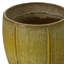 CREST PLANT, NEIGE-1178832784-1178832788