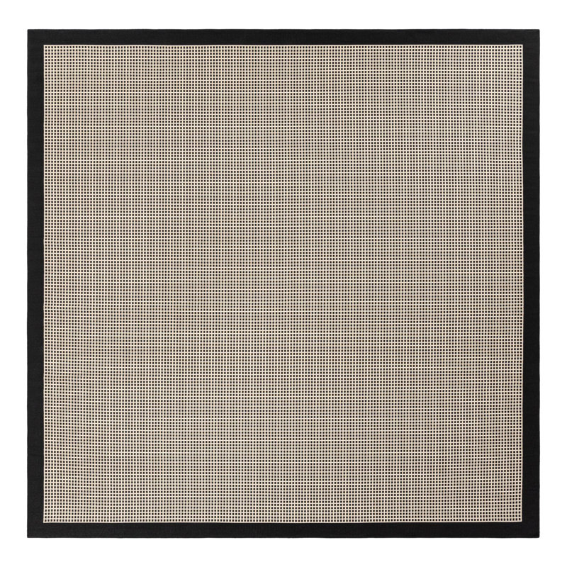 Gourlie Indoor/Outdoor Area Rug, Square 10'