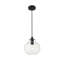 Inola 1-Light Dimmable Pendant-746839723