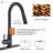 AlenArtWater Pull Down Kitchen Faucet