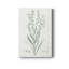 «Botanical Study In Sage I», reproduction sur toile tendue-1406534654