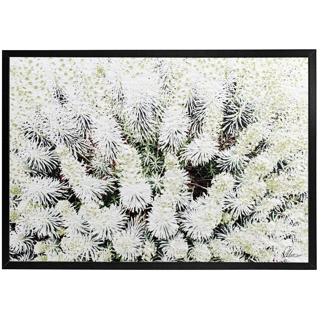 Single Picture Frame Print