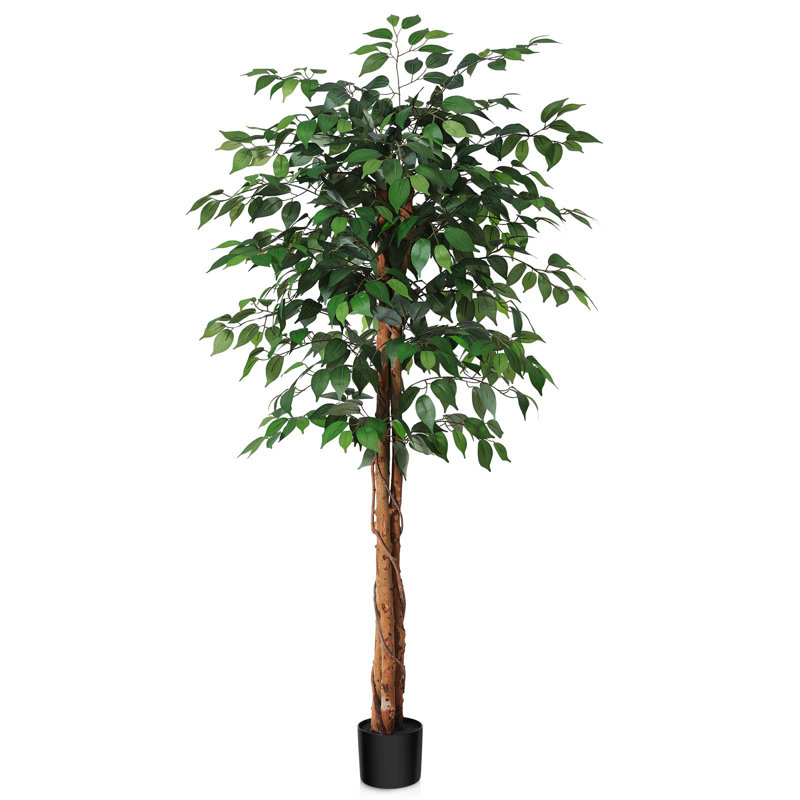 Alitza Faux Tree, 150cm H x 16cm W x 16cm D
