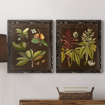«Breadfruit On Suede», ensemble de 2 reproductions d'art graphique encadrées