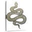 Charme de serpent-2055708433