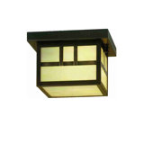 1 - Light Flush Mount