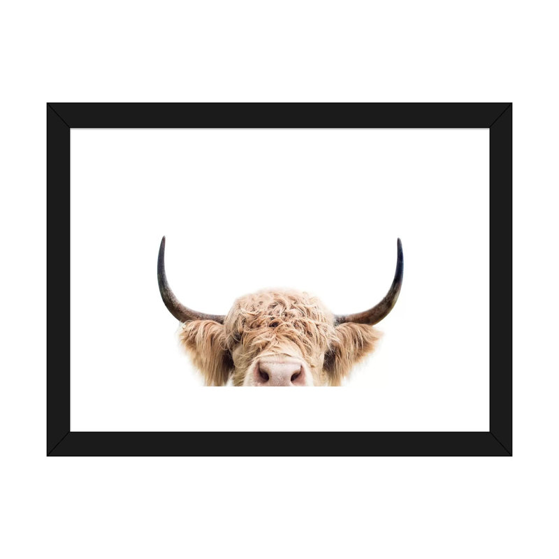 «Peeking Cow» par Sissi & Seb - reproduction de photo, H 24 po x l 32 po x P 1 po, Papier encadré noir