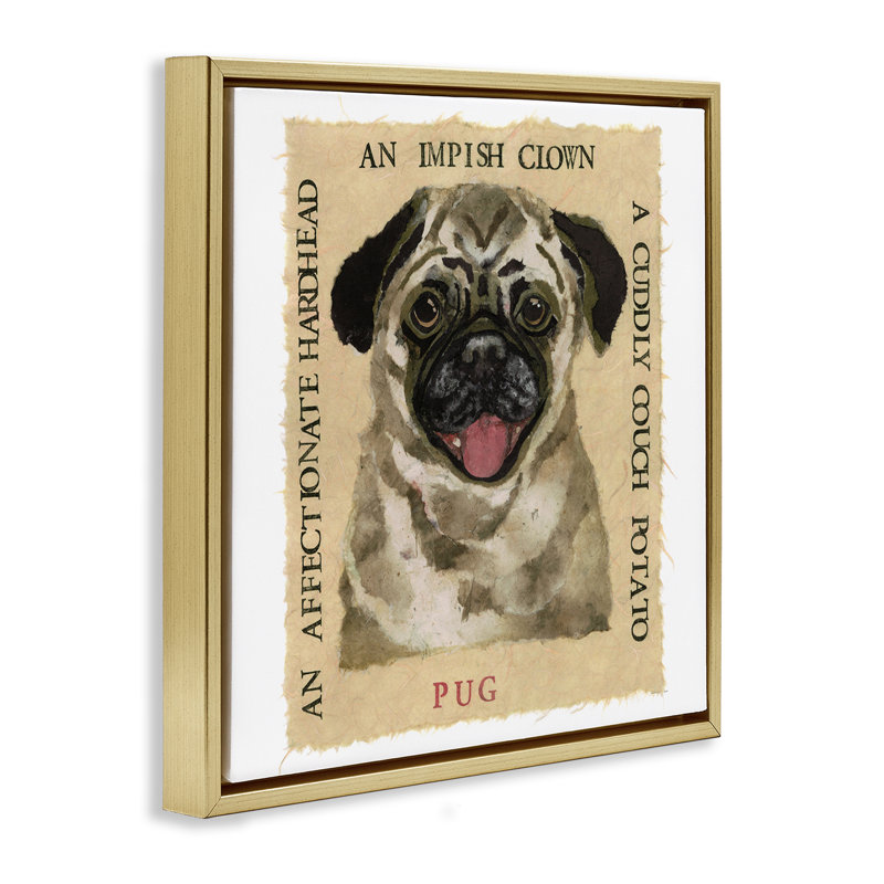 "Fun Pug Pet", art mural encadré flottant par Nancy Overton, Cadre flottant métallique doré, H 18 po x l 18 po
