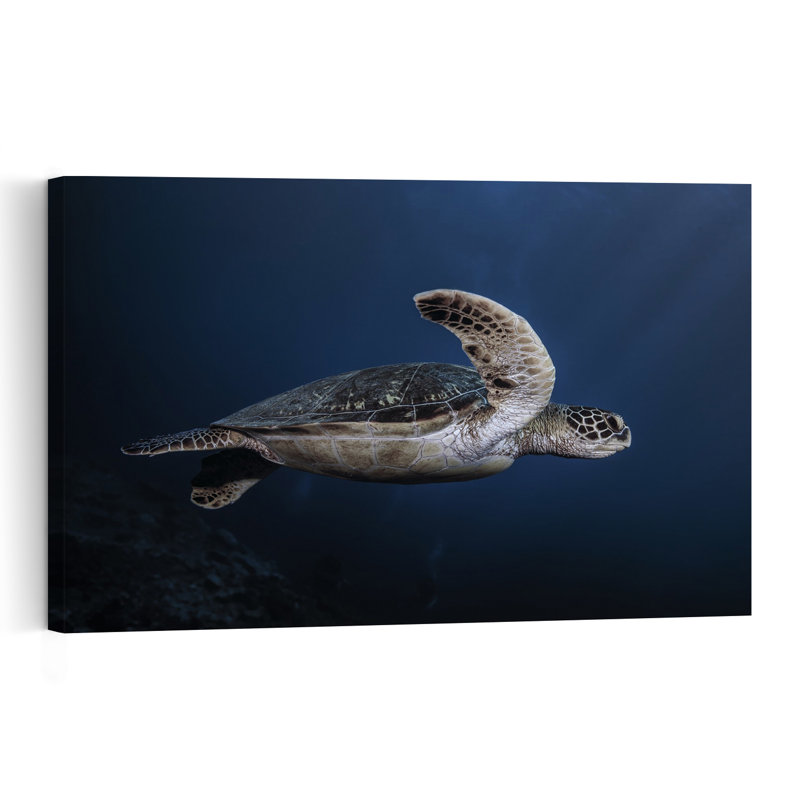 Majestic Sea Turtle Contemporary Turtle Wall Art Print 1 Piece Wrapped Canvas Wall Art, 40.64cm H x 60.96cm W