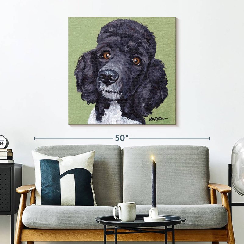 Caniche Brampt standard Tommy, H 30 po x l 30 po