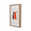Color Form C Print by David Gray