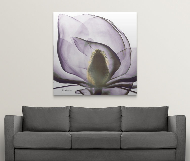 "Manigault" Magnolia X-Ray par Kiranjit, reproduction de photo, H 30 po x l 30 po x P 1,5 po, Toile