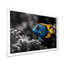 «Blue Aquariums Oceanic Oasis Fish I», reproduction d'art mural aquariums-259785127-19661491