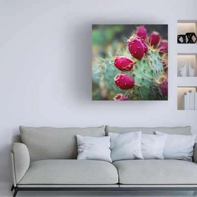 «Prickly Pear Cactus» par Tina Lavoie, impression sur toile tendue
