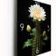 Cactus Isolation II - Horloges murales Cactus-650840544